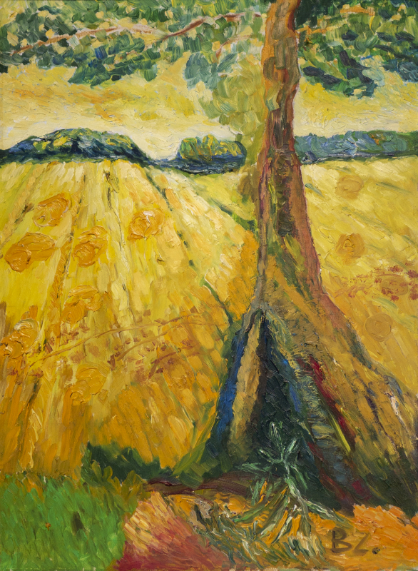 Augusztus Nógrádban